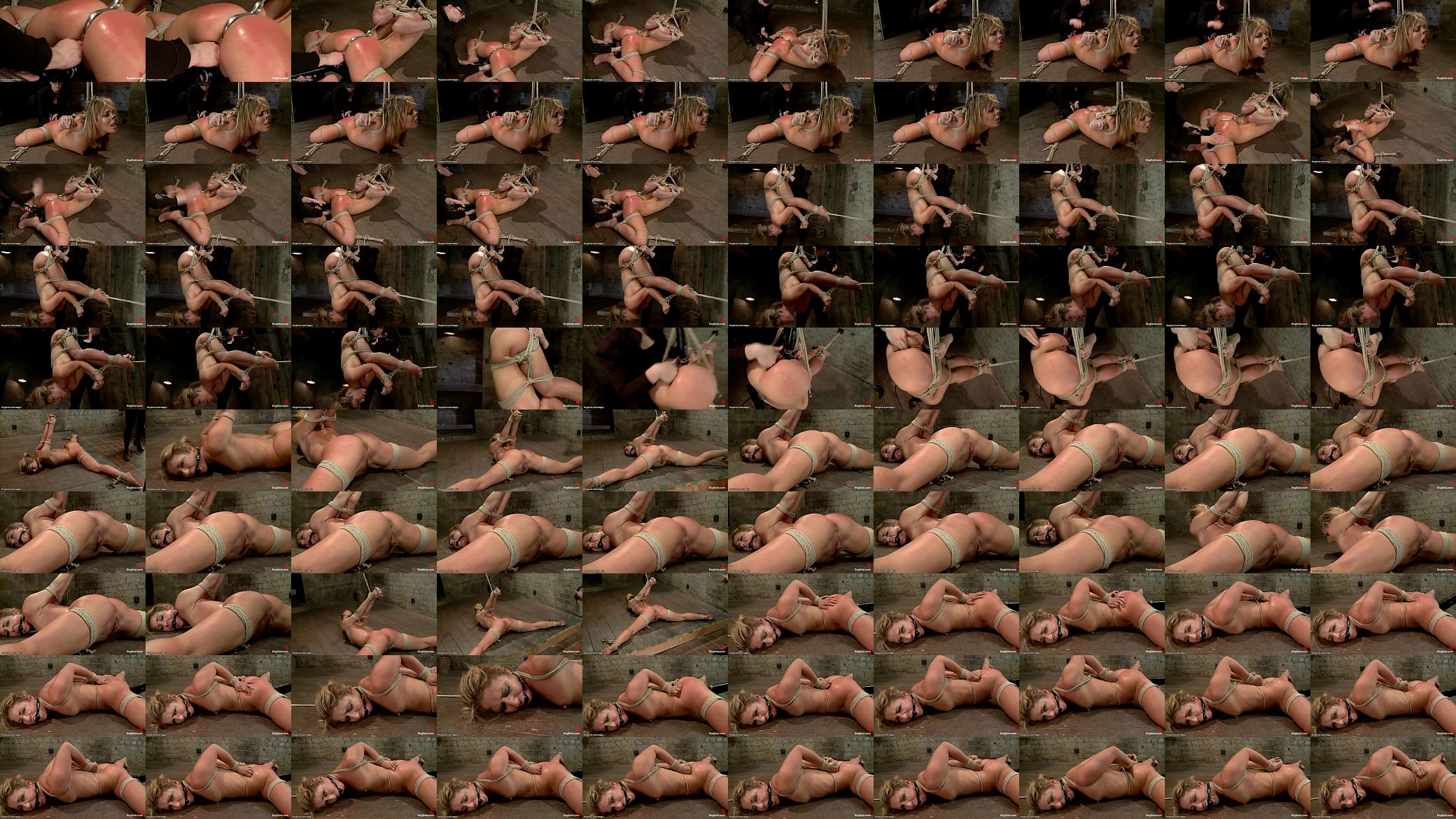 Hogtied blonde anal hooked and whipped 预览图