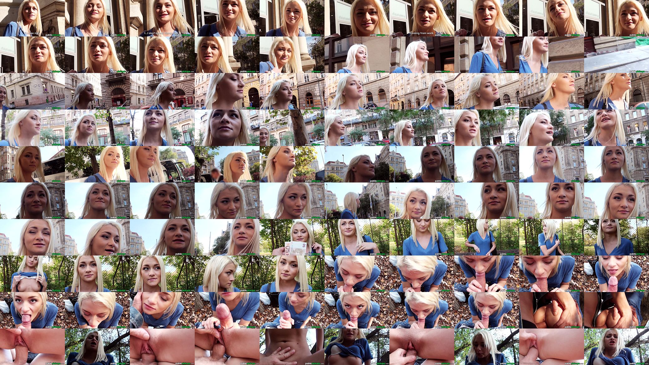 Mofos - Skinny blonde euro babe gets picked up 预览图