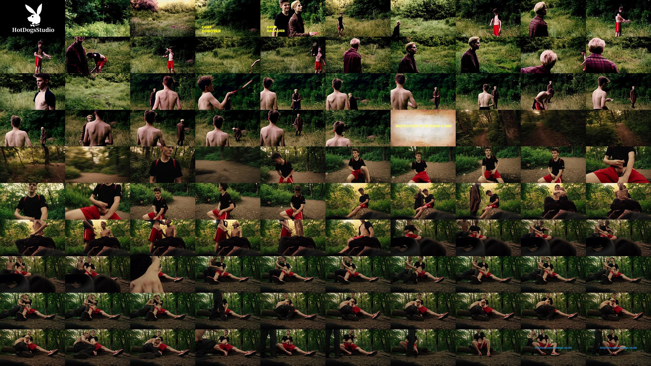 Summer walk. College friends, outdoor activities. Play rackets and shuttlecock 预览图