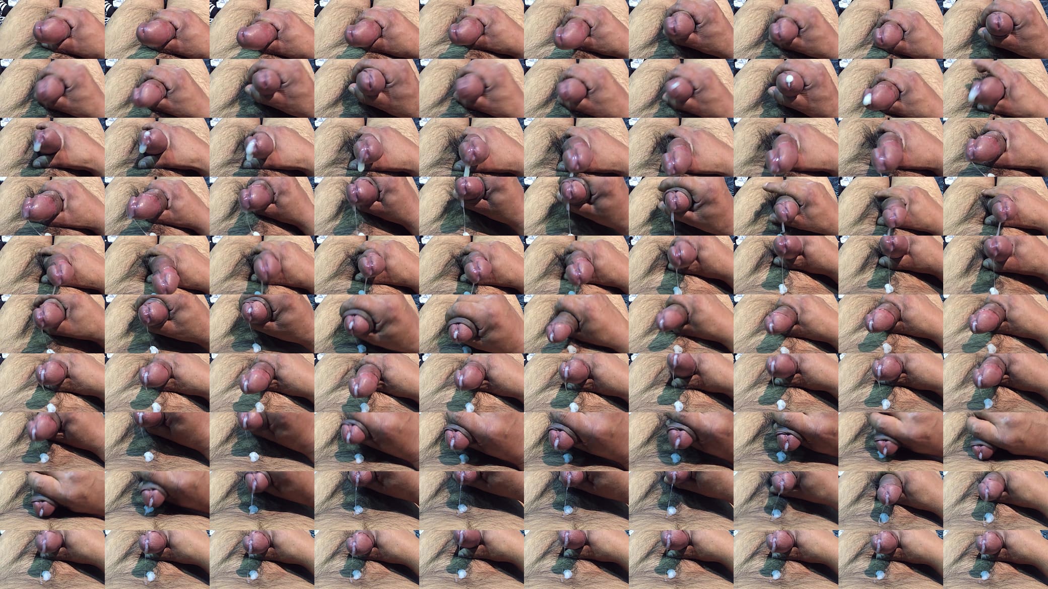 Paja rapida 预览图