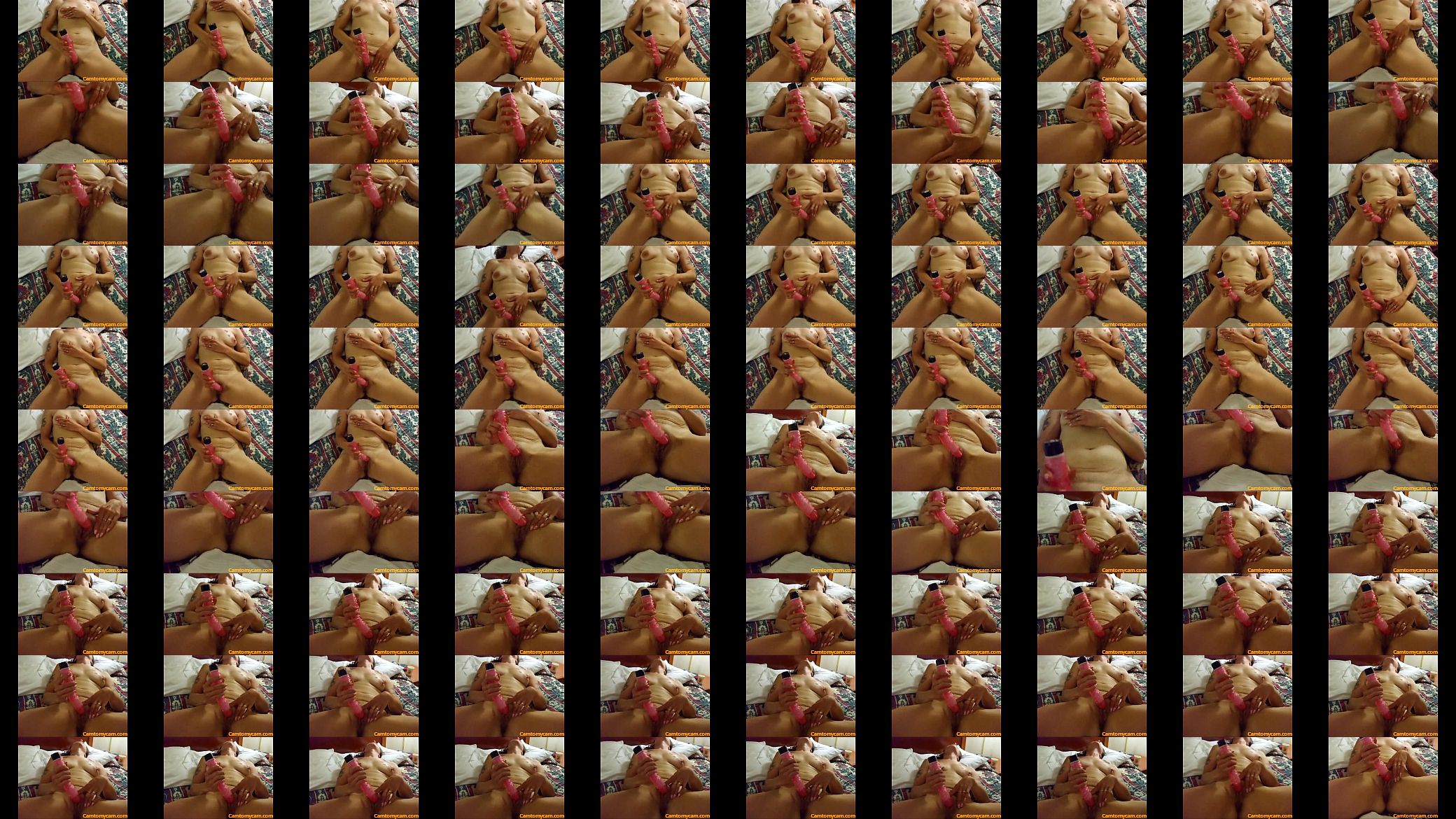 camtomycam (2) 预览图