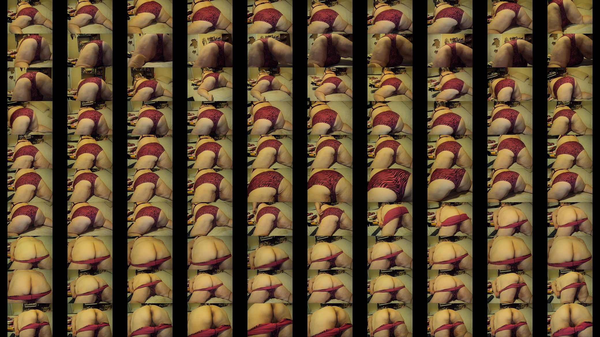 282 vids kim 004.AVI 预览图