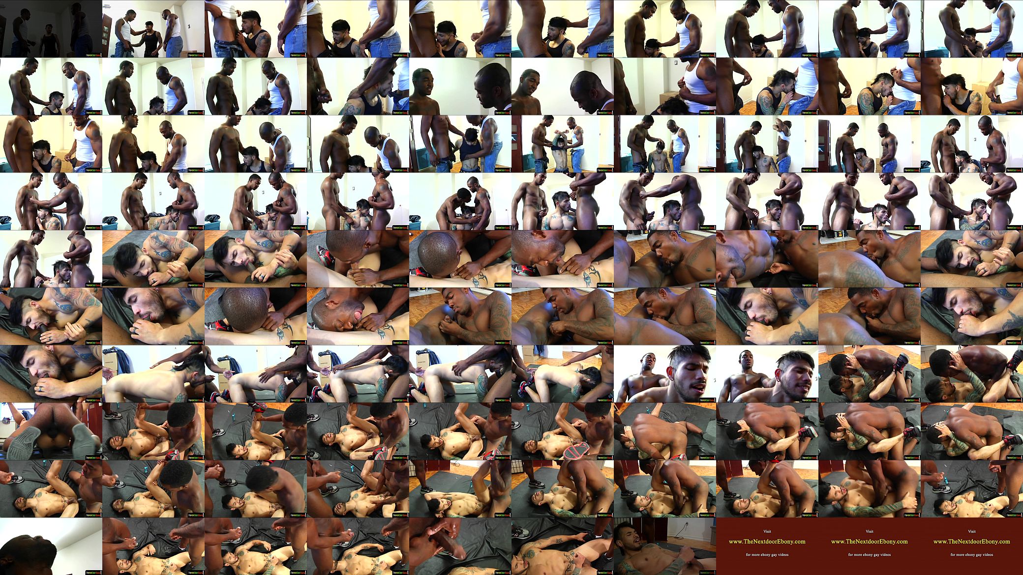 Cocksucking threesome jock servicing blacks 预览图
