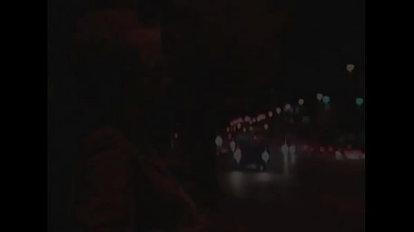 Sex in the City - Fuck the Busdriver 2