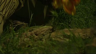 Brooke Ballentyne Fucks A Hired Ranch Hand By The Fireside Outdoors