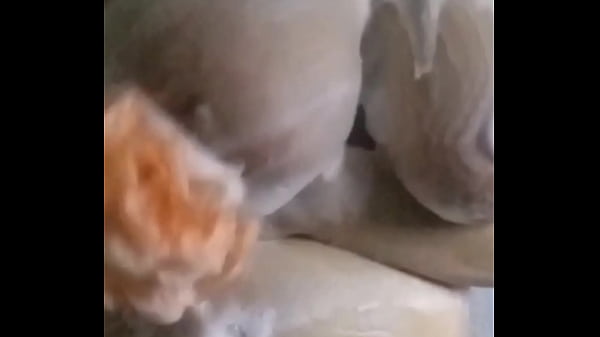 Download Video - me ba&ntilde;o para que se me baje lo caliente&comma; le ofrezco el culo a mi padrastro&comma; pero esta con mi mam&aacute; y termino masturb&aacute;ndome