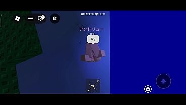 Vídeo de verificación