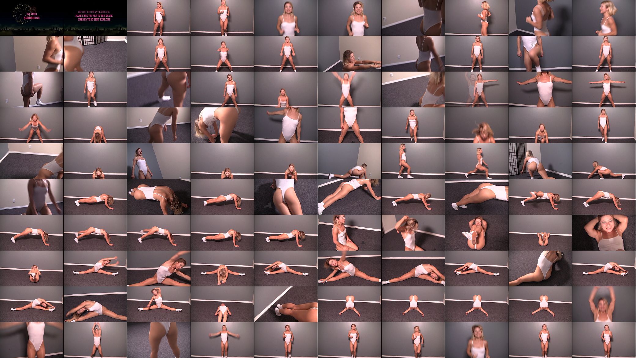 AEROBICISE 2014 预览图
