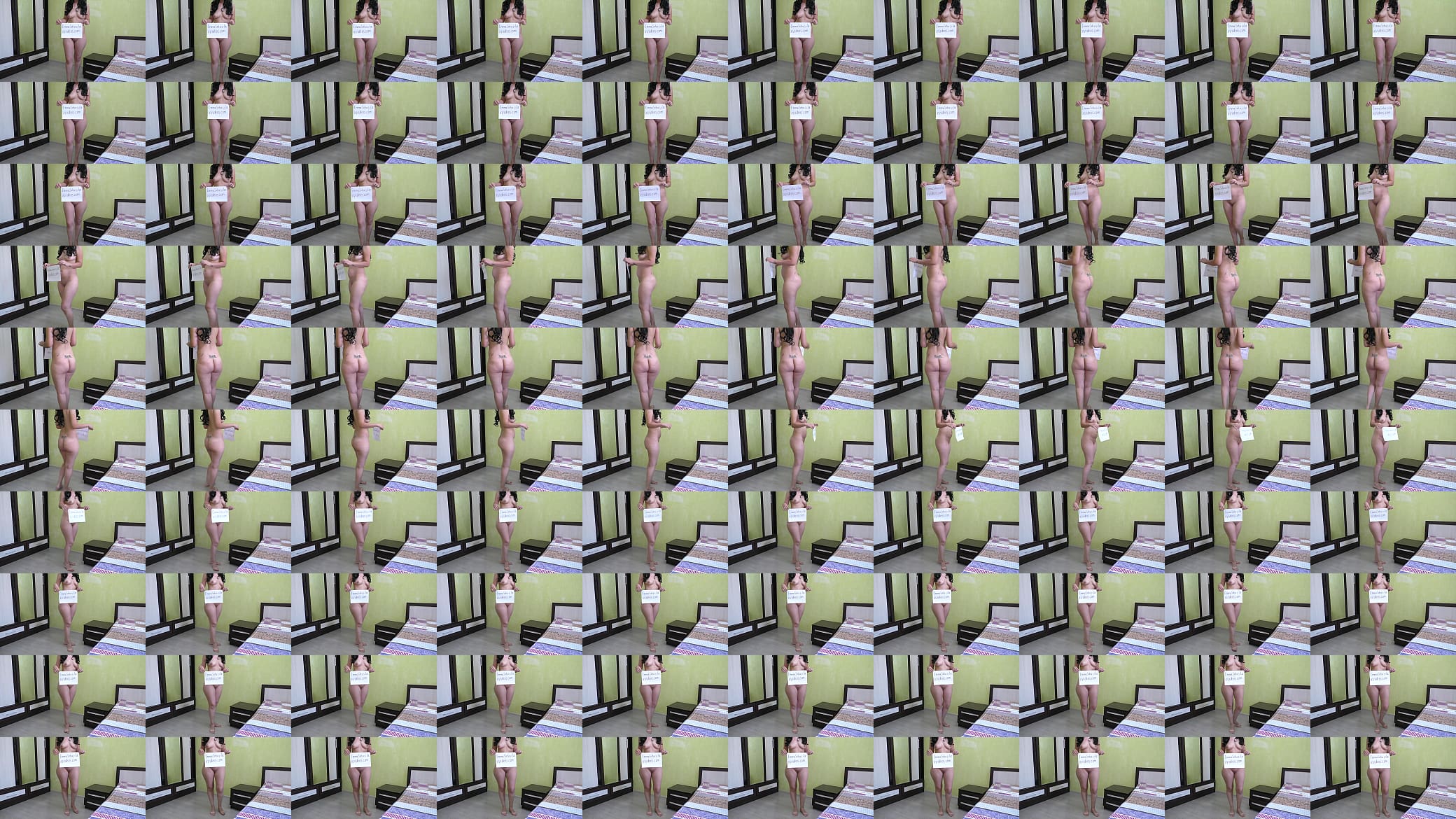 Verification video 预览图