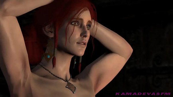The Witcher 3 - Punishment request